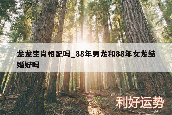 龙龙生肖相配吗_88年男龙和88年女龙结婚好吗