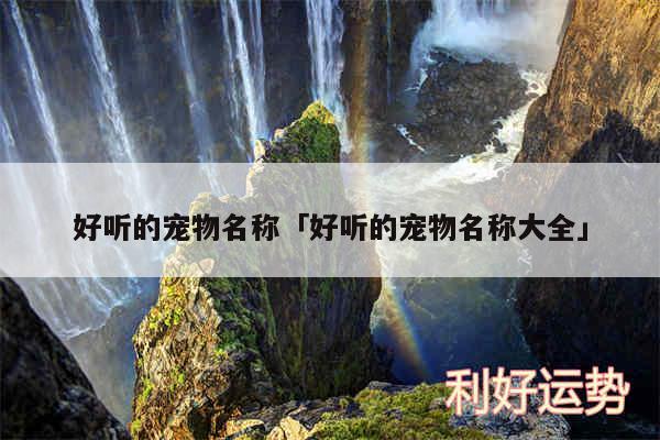 好听的宠物名称及好听的宠物名称大全