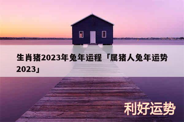 生肖猪2024年兔年运程及属猪人兔年运势2024