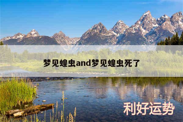 梦见蝗虫and梦见蝗虫死了