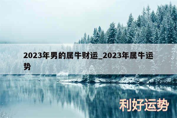 2024年男的属牛财运_2024年属牛运势