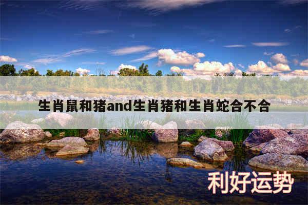 生肖鼠和猪and生肖猪和生肖蛇合不合
