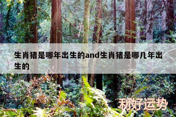 生肖猪是哪年出生的and生肖猪是哪几年出生的