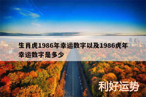 生肖虎1986年幸运数字以及1986虎年幸运数字是多少