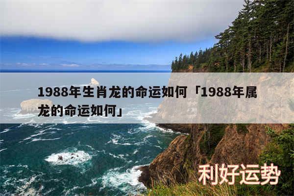 1988年生肖龙的命运如何及1988年属龙的命运如何