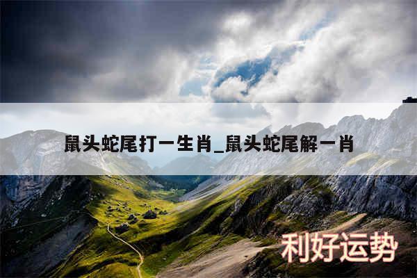 鼠头蛇尾打一生肖_鼠头蛇尾解一肖