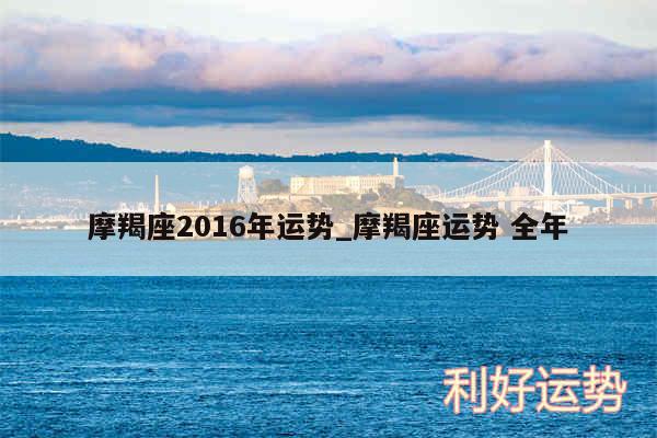 摩羯座2016年运势_摩羯座运势 全年