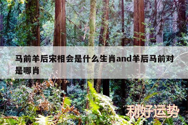 马前羊后宋相会是什么生肖and羊后马前对是哪肖