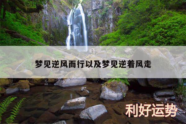 梦见逆风而行以及梦见逆着风走