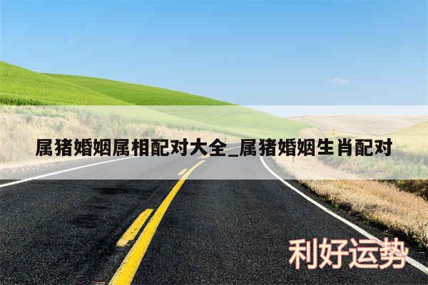 属猪婚姻属相配对大全_属猪婚姻生肖配对