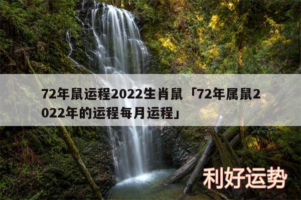 72年鼠运程2024生肖鼠及72年属鼠2024年的运程每月运程