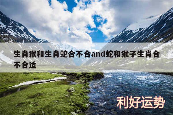 生肖猴和生肖蛇合不合and蛇和猴子生肖合不合适