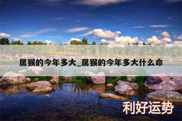 属猴的今年多大_属猴的今年多大什么命