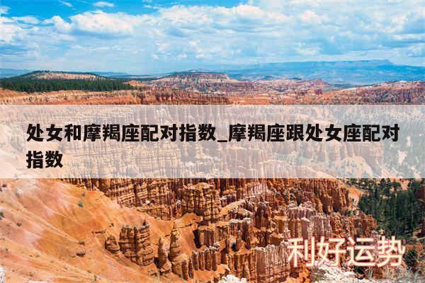 处女和摩羯座配对指数_摩羯座跟处女座配对指数