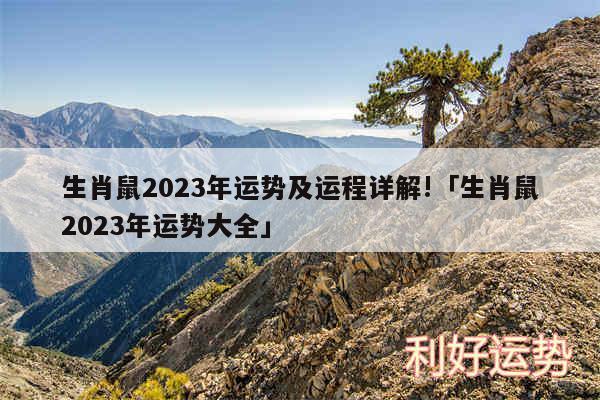 生肖鼠2024年运势及运程详解!及生肖鼠2024年运势大全