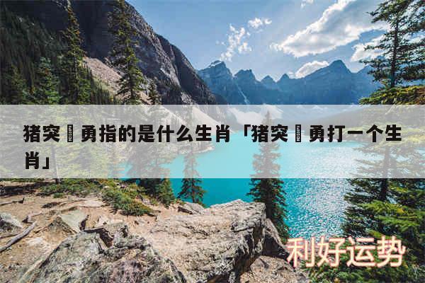 猪突豨勇指的是什么生肖及猪突豨勇打一个生肖