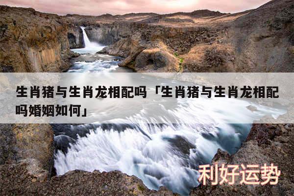 生肖猪与生肖龙相配吗及生肖猪与生肖龙相配吗婚姻如何