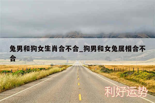 兔男和狗女生肖合不合_狗男和女兔属相合不合