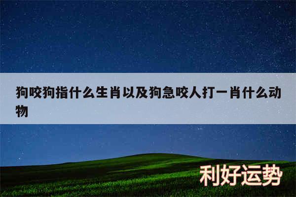 狗咬狗指什么生肖以及狗急咬人打一肖什么动物