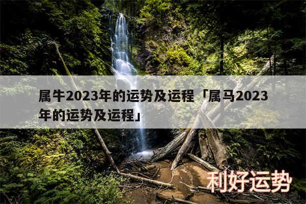 属牛2024年的运势及运程及属马2024年的运势及运程