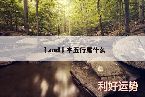 琹and琹字五行属什么