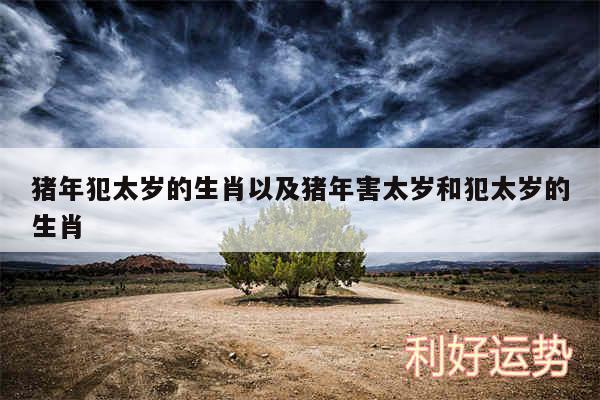 猪年犯太岁的生肖以及猪年害太岁和犯太岁的生肖