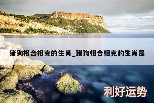 猪狗相合相克的生肖_猪狗相合相克的生肖是