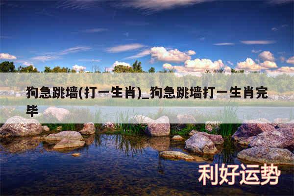 狗急跳墙(打一生肖)_狗急跳墙打一生肖完毕