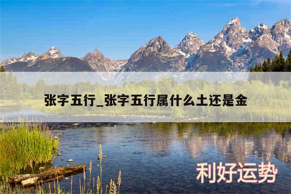 张字五行_张字五行属什么土还是金