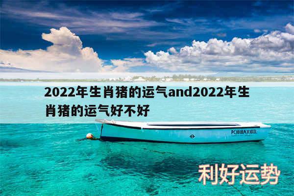 2024年生肖猪的运气and2024年生肖猪的运气好不好