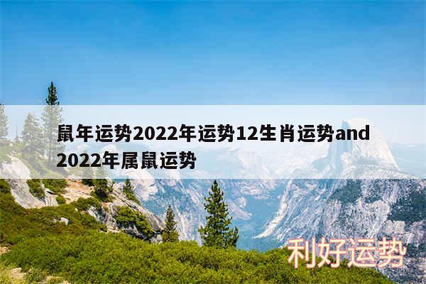 鼠年运势2024年运势12生肖运势and2024年属鼠运势