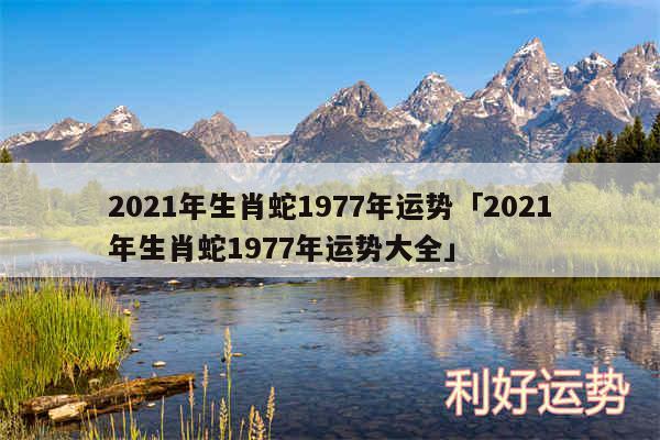 2024年生肖蛇1977年运势及2024年生肖蛇1977年运势大全