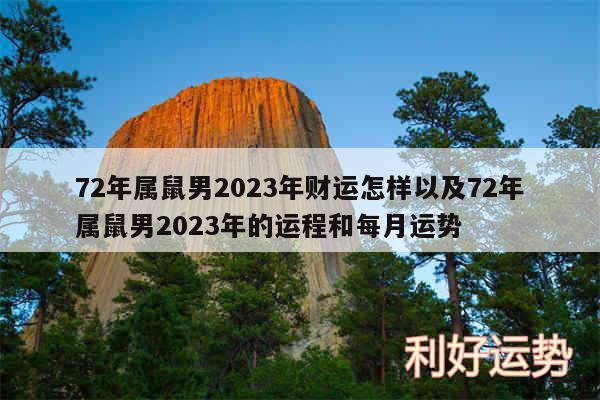 72年属鼠男2024年财运怎样以及72年属鼠男2024年的运程和每月运势