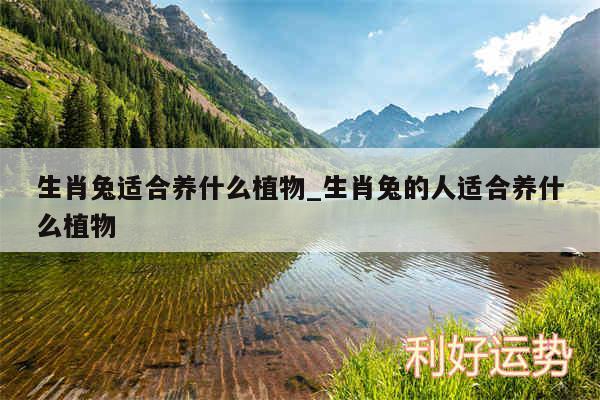 生肖兔适合养什么植物_生肖兔的人适合养什么植物