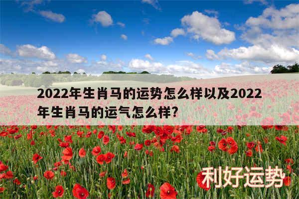 2024年生肖马的运势怎么样以及2024年生肖马的运气怎么样?