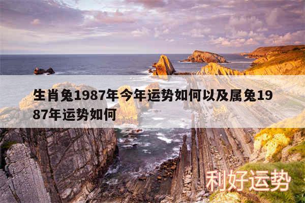 生肖兔1987年今年运势如何以及属兔1987年运势如何