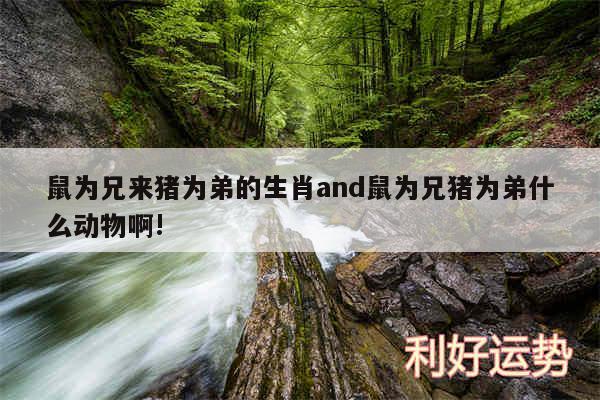 鼠为兄来猪为弟的生肖and鼠为兄猪为弟什么动物啊!