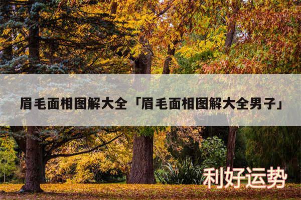 眉毛面相图解大全及眉毛面相图解大全男子