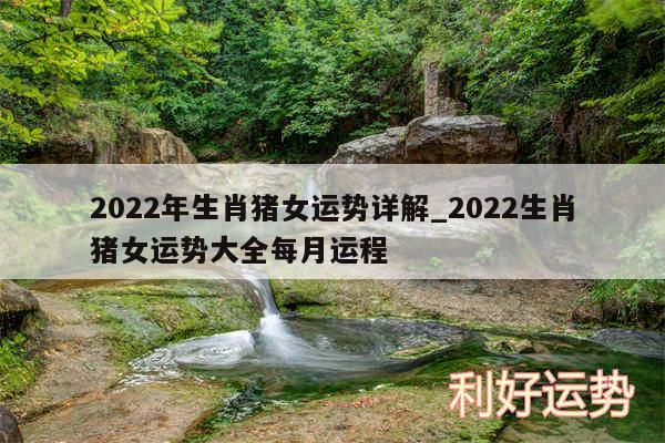 2024年生肖猪女运势详解_2024生肖猪女运势大全每月运程