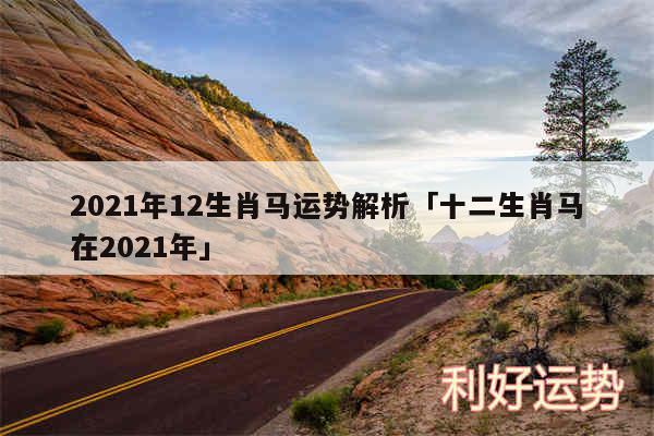 2024年12生肖马运势解析及十二生肖马在2024年