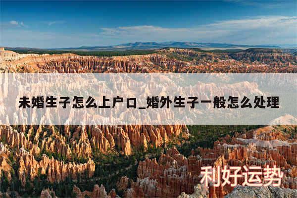 未婚生子怎么上户口_婚外生子一般怎么处理