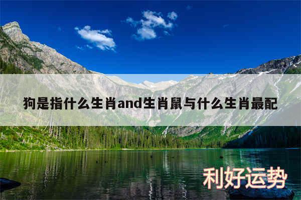 狗是指什么生肖and生肖鼠与什么生肖最配