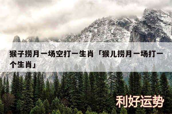 猴子捞月一场空打一生肖及猴儿捞月一场打一个生肖