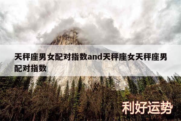 天秤座男女配对指数and天秤座女天秤座男配对指数