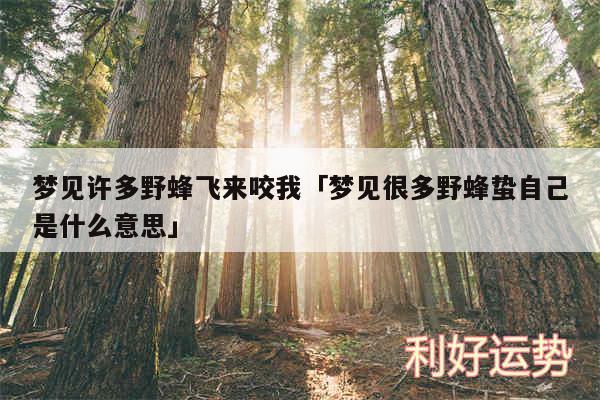 梦见许多野蜂飞来咬我及梦见很多野蜂蛰自己是什么意思