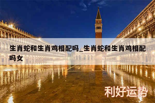 生肖蛇和生肖鸡相配吗_生肖蛇和生肖鸡相配吗女