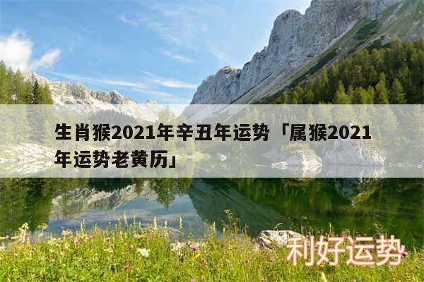 生肖猴2024年辛丑年运势及属猴2024年运势老黄历