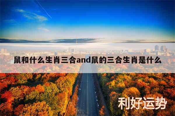 鼠和什么生肖三合and鼠的三合生肖是什么