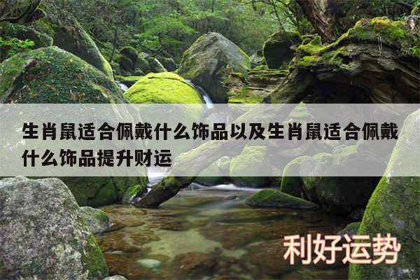 生肖鼠适合佩戴什么饰品以及生肖鼠适合佩戴什么饰品提升财运