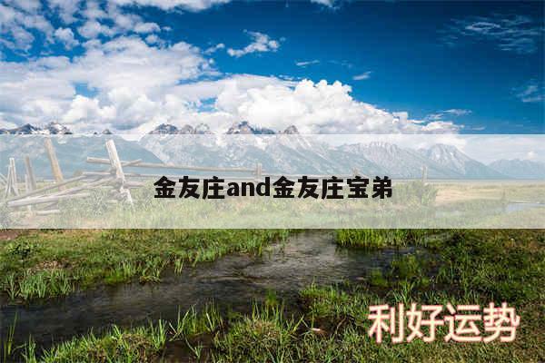 金友庄and金友庄宝弟
